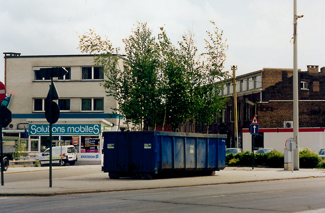 Container with birch woods